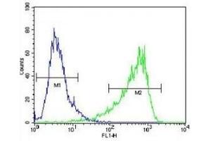 HIF1A antibody flow cytometric analysis of NIH3T3 cells (right histogram) compared to a negative control cell (left histogram). (HIF1A Antikörper  (AA 519-547))