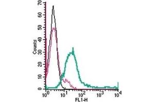Cell surface detection of GPR171 in live intact human Jurkat T-cell leukemia cells: (black line) Cells. (GPR171 Antikörper  (Extracellular))