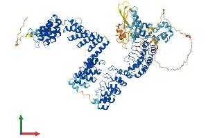 AlphaFold protein structure predicition of Human Recombinant TNKS2 Protein, UniprotID Q9H2K2