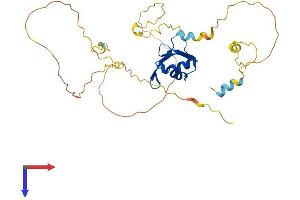 NUP35 Protein (AA 1-326) (His tag)