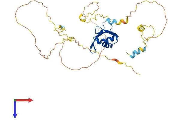 NUP35 Protein (AA 1-326) (His tag)