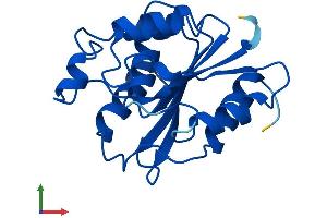 AlphaFold protein structure predicition of Human Recombinant RBBP9 Protein, UniprotID O75884