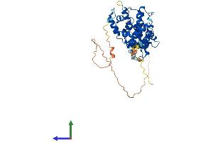 Protein Structure (PS) image for Cyclin E2 (CCNE2) (AA 1-404) protein (His tag) (ABIN7553292)