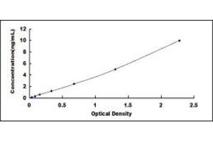 Typical standard curve