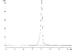 Size-exclusion chromatography-High Pressure Liquid Chromatography (SEC-HPLC) image for EPH Receptor A4 (EPHA4) (AA 20-547) protein (His tag) (ABIN7274561)