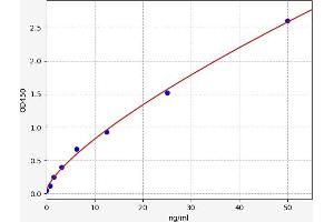 Apolipoprotein L, 1 (APOL1) ELISA Kit