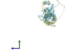 AlphaFold protein structure predicition of Human Recombinant ZNF208 Protein, UniprotID O43345