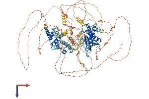 PSD Protein (AA 1-1024) (His tag)