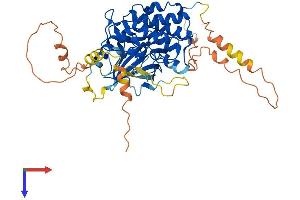 MAP3K8 Protein (AA 1-467) (His tag)