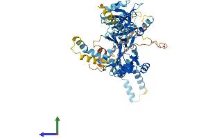Protein Structure (PS) image for Membrane Protein, Palmitoylated 3 (MAGUK P55 Subfamily Member 3) (MPP3) (AA 1-568) protein (His tag) (ABIN7562690)