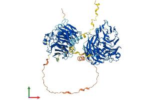 Protein Structure (PS) image for Coronin 7 (CORO7) (AA 1-922) protein (His tag) (ABIN7564977)