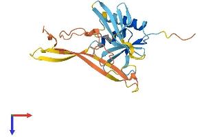 OAZ3 Protein (AA 1-243) (His tag)