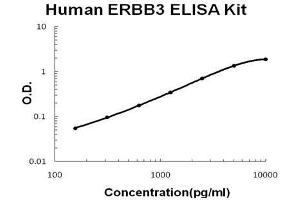 Human ERBB3/Her3 PicoKine ELISA Kit standard curve (ERBB3 ELISA Kit)