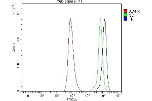 Flow Cytometry analysis of HEL cells using anti-ITK antibody (ABIN7601855).