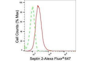 Flow cytometric analysis of Septin 2 expression in C2C12 cells using Septin 2 antibody (ABIN7800295), 1:2,000). (Rekombinanter Septin 2 Antikörper)