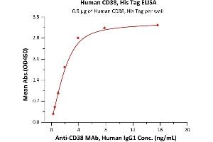 ELISA image for CD38 (AA 43-300) (Active) protein (His tag) (ABIN2180767)
