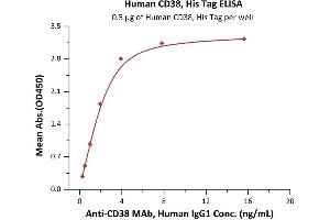 Immobilized Human CD38, His Tag (ABIN2180767,ABIN2180766) at 5 μg/mL (100 μL/well) can bind A MAb, Human IgG1 with a linear range of 0. (CD38 Protein (AA 43-300) (His tag))