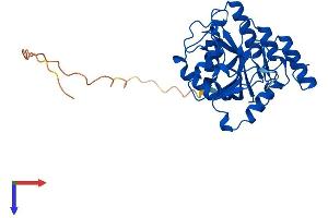 B3GALT6 Protein (AA 1-325) (His tag)