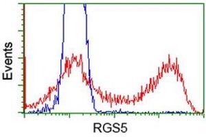 HEK293T cells transfected with either RC206857 overexpress plasmid (Red) or empty vector control plasmid (Blue) were immunostained by anti-RGS5 antibody (ABIN2454700), and then analyzed by flow cytometry. (RGS5 Antikörper)