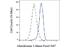 Validation of Hexokinase 1 knockdown using flow cytometry. (Rekombinanter Hexokinase 1 Antikörper)