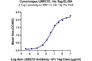 Immobilized Cynomolgus LRRC15, His Tag at 5 μg/mL (100 μL/Well) on the plate.