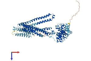 ABCB9 Protein (AA 1-766) (His tag)