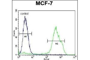 RNF19B Antibody (Center) (ABIN655130 and ABIN2844757) flow cytometric analysis of MCF-7 cells (right histogram) compared to a negative control cell (left histogram).