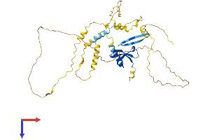 CBX6 Protein (AA 1-414) (His tag)