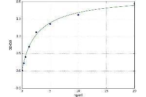 phosphodiesterase 4D, cAMP-Specific (PDE4D) ELISA Kit