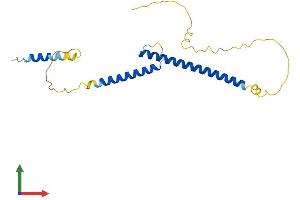Protein Structure (PS) image for MAX Dimerization Protein 3 (MXD3) (AA 1-206) protein (His tag) (ABIN7558340)