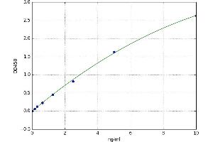 A typical standard curve