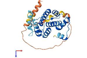CAPNS2 Protein (AA 1-248) (His tag)