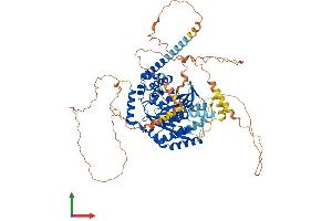 Protein Structure (PS) image for Patatin-Like phospholipase Domain Containing 8 (PNPLA8) (AA 1-776) protein (His tag) (ABIN7559480)