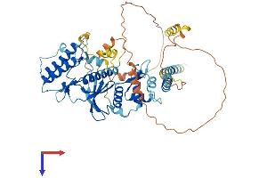 RIOK2 Protein (AA 1-547) (His tag)