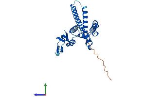 AlphaFold protein structure predicition of Human Recombinant GINS4 Protein, UniprotID Q9BRT9
