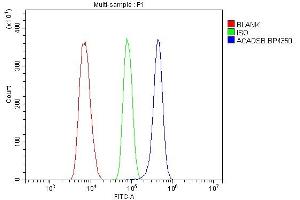 Flow Cytometry analysis of THP-1 cells using anti-SBCAD/ACADSB antibody (ABIN7602837).