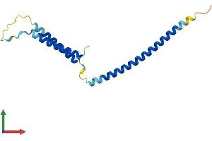Protein Structure (PS) image for Mediator Complex Subunit 21 (MED21) (AA 1-144) protein (His tag) (ABIN7549379)