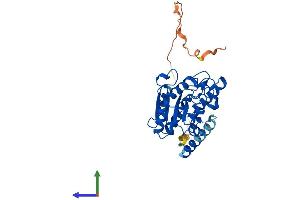 Protein Structure (PS) image for Uracil-DNA Glycosylase (UNG) (AA 1-313) protein (His tag) (ABIN7545022)