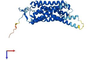 TAAR6 Protein (AA 1-345) (His tag)