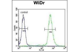 Flow Cytometry (FACS) image for anti-Ribosomal Protein S6 (RPS6) (AA 227-257) antibody (ABIN954620)