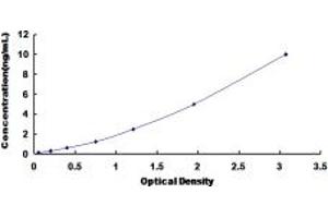 Typical standard curve (Serotonin Receptor 1A ELISA Kit)