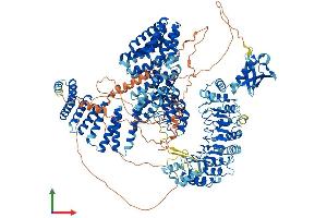 Protein Structure (PS) image for Tonsoku-Like, DNA Repair Protein (NFKBIL2) (AA 1-1363) protein (His tag) (ABIN7564071)