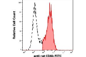 Separation of rat CD8b positive cells (red-filled) from CD8b negative cells (black-dashed) in flow cytometry analysis (surface staining) rat splenocyte suspension stained using anti-rat CD8b (341) FITC antibody (concentration in sample 1 μg/mL). (CD8B Antikörper  (FITC))