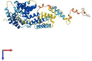 IFIT3 Protein (AA 1-490) (His tag)