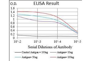Black line: Control Antigen (100 ng), Purple line: Antigen(10 ng), Blue line: Antigen (50 ng), Red line: Antigen (100 ng), (ROR2 Antikörper  (AA 59-155))