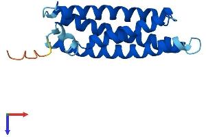 MAL Protein (AA 1-153) (His tag)
