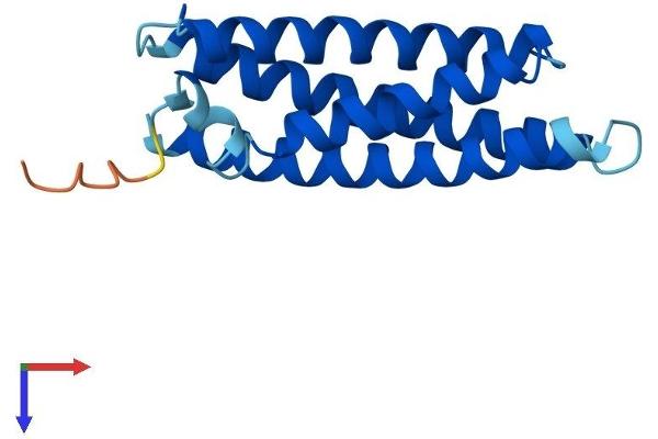 MAL Protein (AA 1-153) (His tag)