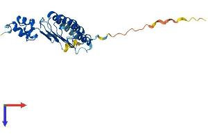 FBXL22 Protein (AA 1-236) (His tag)