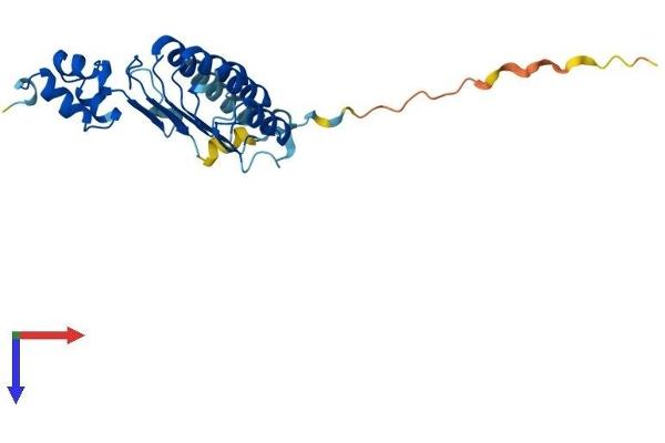 FBXL22 Protein (AA 1-236) (His tag)