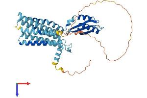 SLC30A7 Protein (AA 1-376) (His tag)